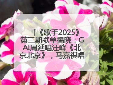 《歌手2025》第三期歌单揭晓：GAI周延唱汪峰《北京北京》，马嘉祺唱S.H.E《你曾是少年》