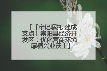 「牢记嘱托 建成支点」崇阳县经济开发区：优化营商环境 厚植兴业沃土