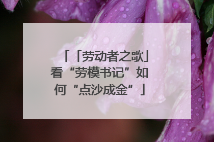 「劳动者之歌」看“劳模书记”如何“点沙成金”