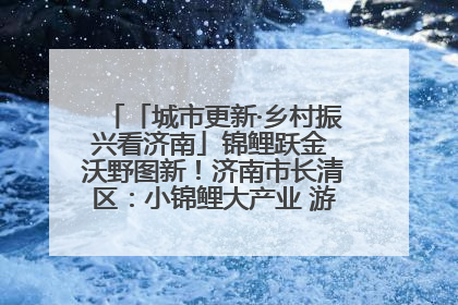 「城市更新·乡村振兴看济南」锦鲤跃金 沃野图新！济南市长清区：小锦鲤大产业 游出农旅新风景