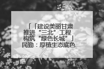 「建设美丽甘肃 推进“三北”工程 构筑“绿色长城”」民勤：厚植生态底色 筑牢绿色屏障