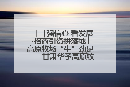 「强信心 看发展·招商引资拼落地」高原牧场“牛”劲足——甘肃华予高原牧场高标准奶牛肉牛养殖项目一线见闻