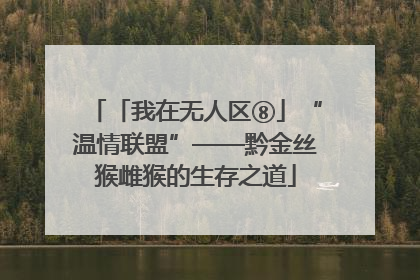「我在无人区⑧」“温情联盟”——黔金丝猴雌猴的生存之道