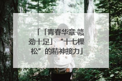 「青春华章·赣劲十足」“十七棵松”的精神接力