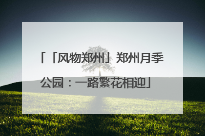 「风物郑州」郑州月季公园：一路繁花相迎