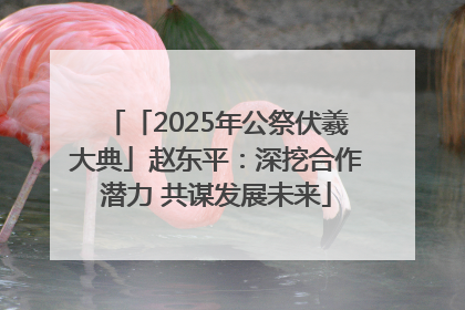 「2025年公祭伏羲大典」赵东平：深挖合作潜力 共谋发展未来