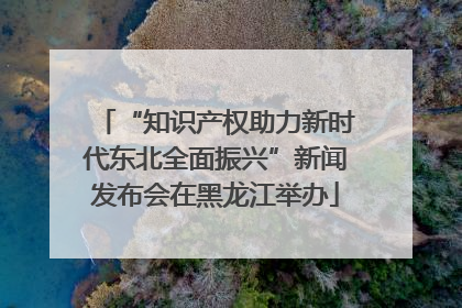“知识产权助力新时代东北全面振兴”新闻发布会在黑龙江举办