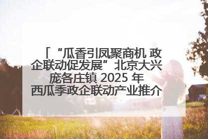 “瓜香引凤聚商机 政企联动促发展”北京大兴庞各庄镇 2025 年西瓜季政企联动产业推介活动圆满举行