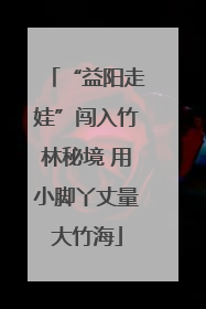 “益阳走娃”闯入竹林秘境 用小脚丫丈量大竹海