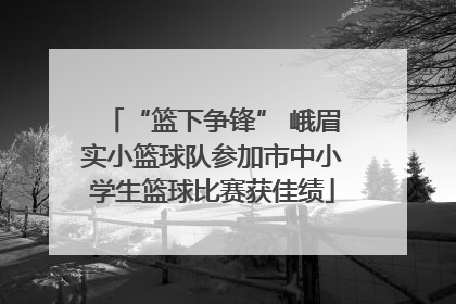 “篮下争锋” 峨眉实小篮球队参加市中小学生篮球比赛获佳绩