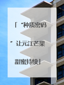 “种质密码”让元江芒果甜蜜持续