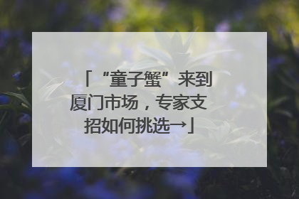 “童子蟹”来到厦门市场，专家支招如何挑选→