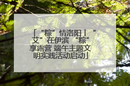 “粽”情洛阳丨“艾”在伊滨 “粽”享露营 端午主题文明实践活动启动