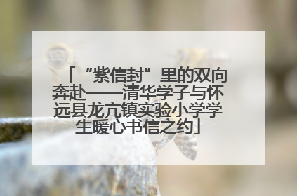 “紫信封”里的双向奔赴——清华学子与怀远县龙亢镇实验小学学生暖心书信之约
