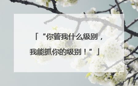 “你管我什么级别，我能抓你的级别！”