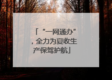“一网通办”，全力为夏收生产保驾护航