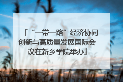 “一带一路”经济协同创新与高质量发展国际会议在新乡学院举办