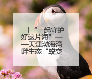 “一起守护好这片海”——天津渤海湾畔生态“蜕变记”