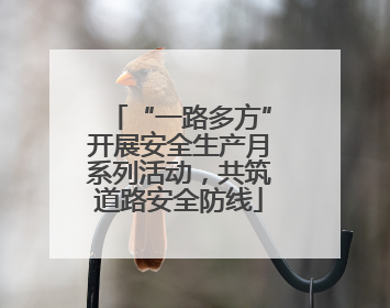 “一路多方”开展安全生产月系列活动，共筑道路安全防线