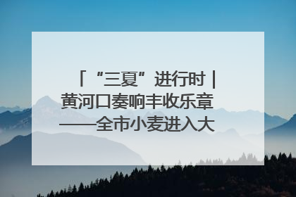 “三夏”进行时｜黄河口奏响丰收乐章——全市小麦进入大面积收获高峰期