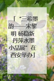 “三希墨韵——宋黎明 杨稳新 丹萍水墨小品展”在西安举办