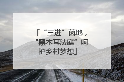 “三进”菌地，“黑木耳法庭”呵护乡村梦想
