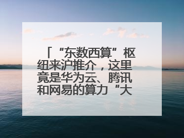 “东数西算”枢纽来沪推介，这里竟是华为云、腾讯和网易的算力“大本营”