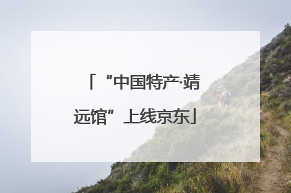 “中国特产·靖远馆”上线京东