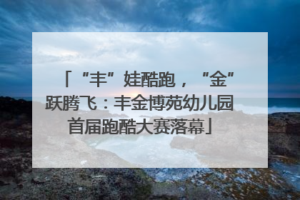 “丰”娃酷跑，“金”跃腾飞：丰金博苑幼儿园首届跑酷大赛落幕