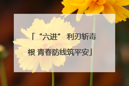 “六进” 利刃斩毒根 青春防线筑平安
