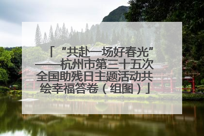 “共赴一场好春光”——杭州市第三十五次全国助残日主题活动共绘幸福答卷（组图）