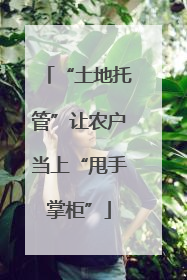 “土地托管”让农户当上“甩手掌柜”