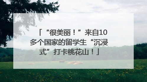 “很美丽！”来自10多个国家的留学生“沉浸式”打卡桃花山！