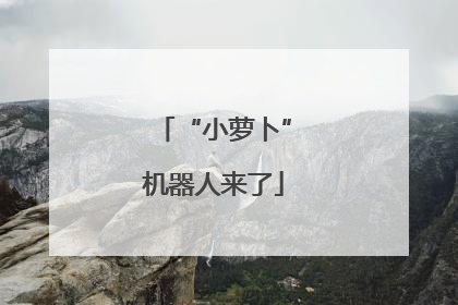 “小萝卜”机器人来了