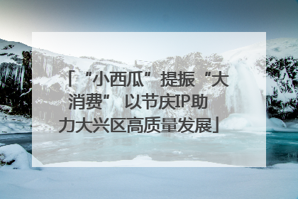 “小西瓜”提振“大消费” 以节庆IP助力大兴区高质量发展