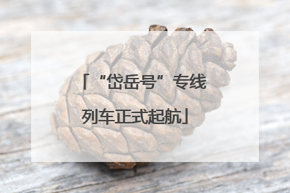 “岱岳号”专线列车正式起航