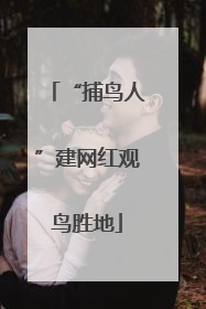 “捕鸟人”建网红观鸟胜地