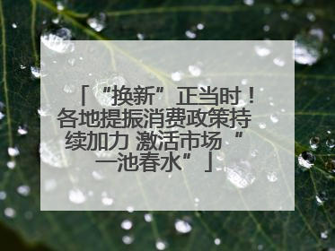 “换新”正当时！各地提振消费政策持续加力 激活市场“一池春水”
