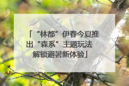 “林都”伊春今夏推出“森系”主题玩法 解锁避暑新体验
