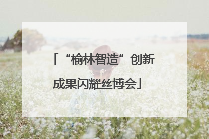 “榆林智造”创新成果闪耀丝博会