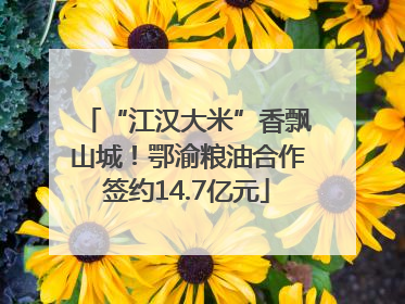 “江汉大米”香飘山城！鄂渝粮油合作签约14.7亿元