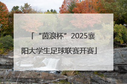 “茵浪杯”2025襄阳大学生足球联赛开赛