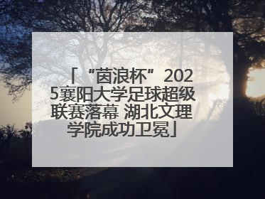 “茵浪杯”2025襄阳大学足球超级联赛落幕 湖北文理学院成功卫冕