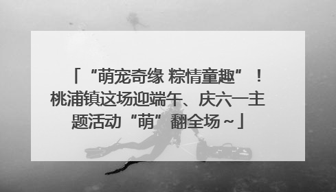 “萌宠奇缘 粽情童趣”！桃浦镇这场迎端午、庆六一主题活动“萌”翻全场～