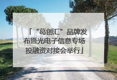 “葛创汇”品牌发布暨光电子信息专场投融资对接会举行
