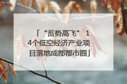“蓄势高飞” 14个低空经济产业项目落地成都都市圈
