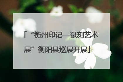 “衡州印记—篆刻艺术展”衡阳县巡展开展