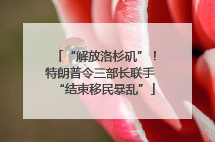 “解放洛杉矶”！特朗普令三部长联手“结束移民暴乱”
