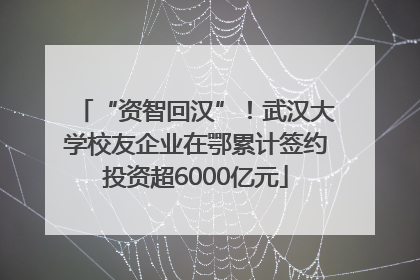 “资智回汉”！武汉大学校友企业在鄂累计签约投资超6000亿元