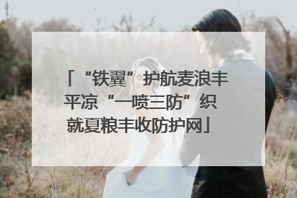 “铁翼”护航麦浪丰 平凉“一喷三防”织就夏粮丰收防护网